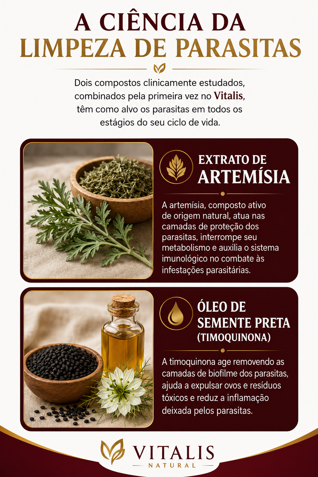 Vitalis - extrato de artemísia em uso